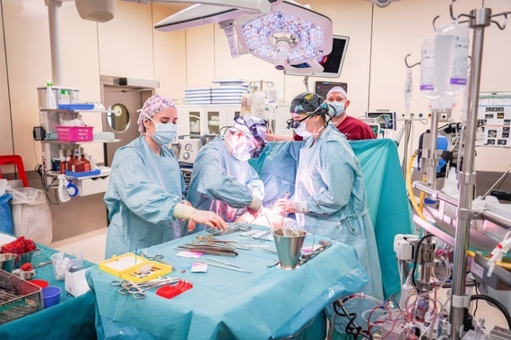 Kardiologia USK 2.jpeg