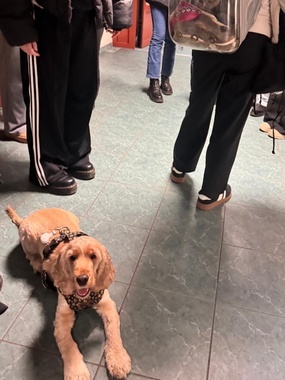 IMG-20251204-WA0006 (1).jpg