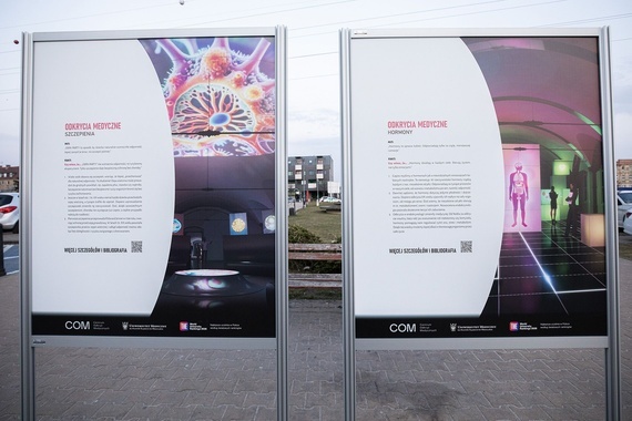 1772-1181-max (24).jpg