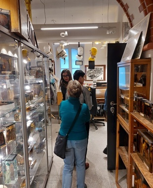 20260316_105347_renata Szczepańska.jpg