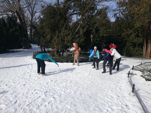 IMG_20260219_111956.jpg