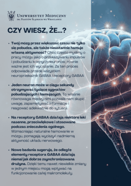 czy weisz gaaba.png