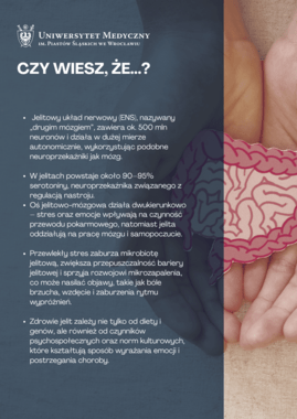 mozg emocje jelita czy wiesz pl.png