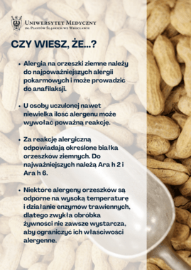 czy wiesz orzeszki.png