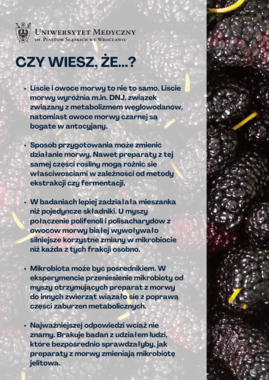 morwa czy wiesz pl.png